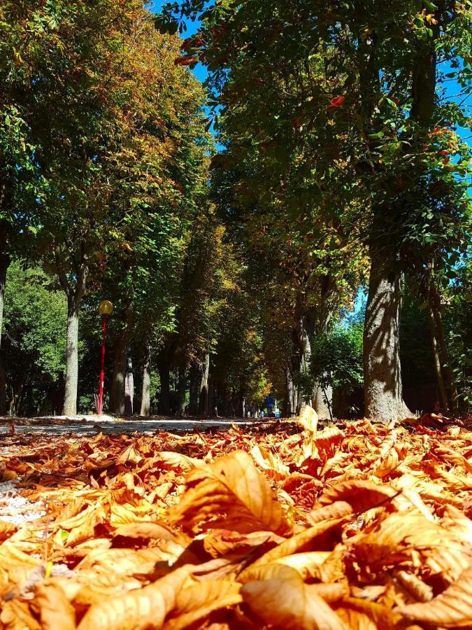 Il Gabbiano Giallo Fano Exteriér fotografie
